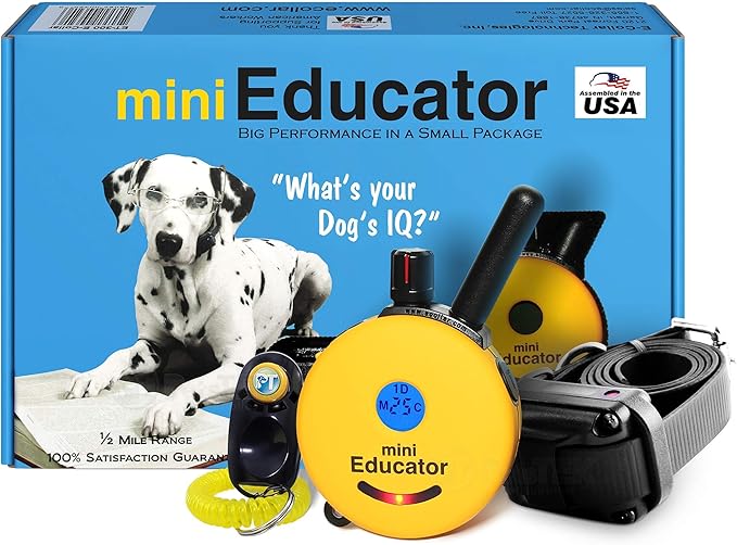 Mini Educator E-Collar